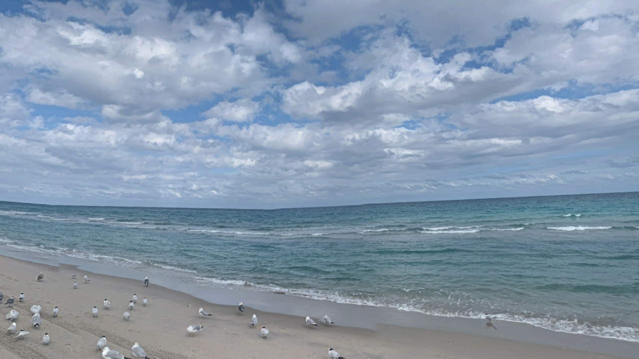 Beach and ocean at Spanish River Park Boca Raton, FL